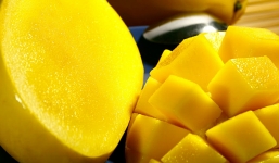 Cách làm pudding xoài ngon tuyệt hảo cho bé yêu